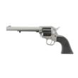RUGER Wrangler 6.5? Silver 22 LR
