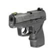 Ruger MAX-9 10+1 Alloy Steel barrel MA Compliant 2-10rd mag