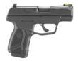 Ruger MAX-9 12+1 Standard Model