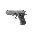P229 9MM 3.9IN LEG.GRAYDA/SAX-RAY 3BLK G10 GRIP3-10RDSRTMA COMP