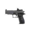 P226 9MM 4.4IN LEGION GRAY (3) 10RD STEEL MAG ROMEO1PRO