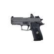 P229 9MM 3.9IN LEGION GRAY DA/SA X-RAY 3 BLACK G10 GRIP (3) 15RD STEEL MAG