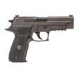 SIG P229 9MM 3.9IN LEGION GRAY  DA/SA  X-RAY 3 BLACK G10 GRIP
